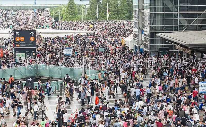 漫蛙免费漫画网页入口